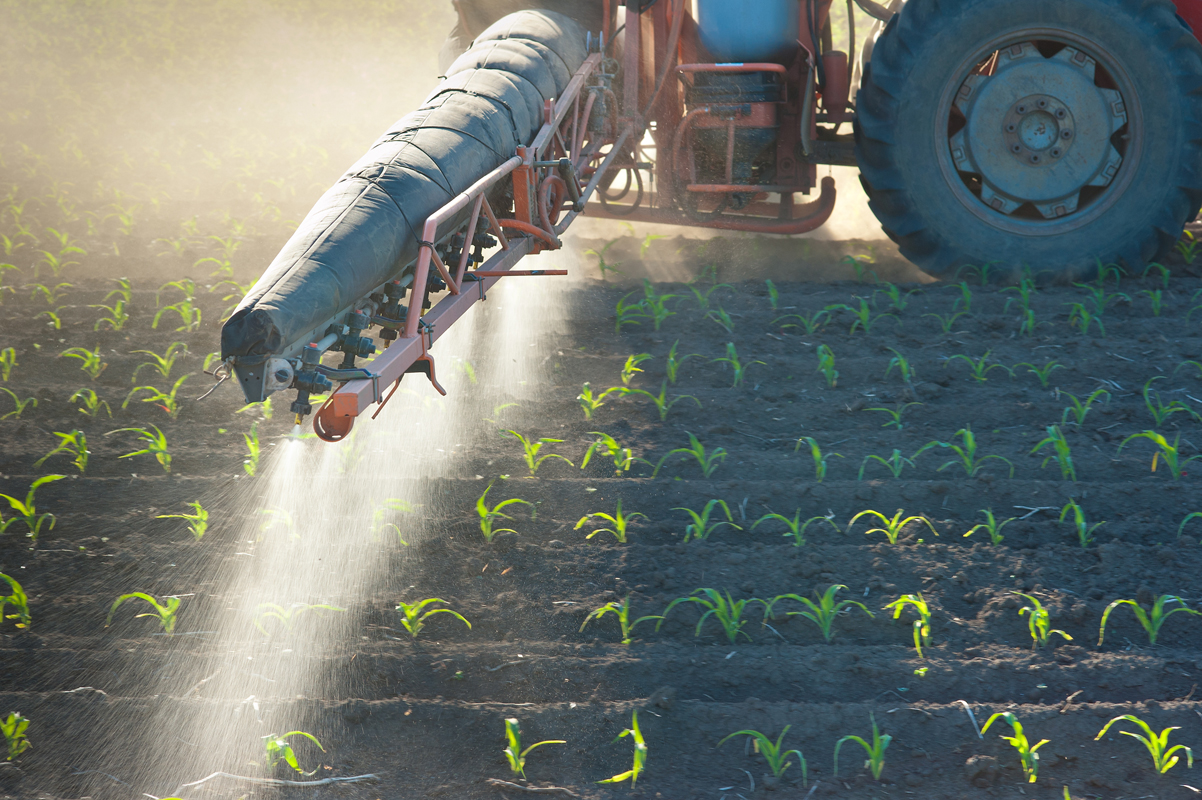 spraying atrazine on corn